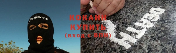 спиды Горняк