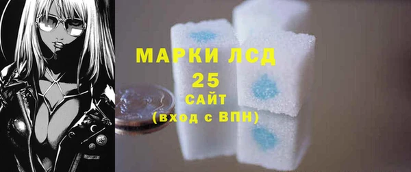 спиды Горняк