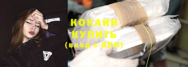спиды Горняк