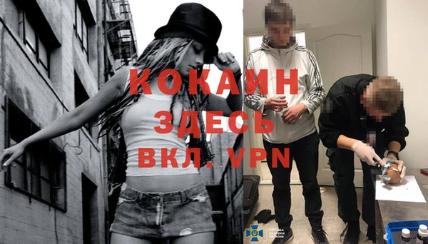 спиды Горняк