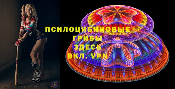 спиды Горняк