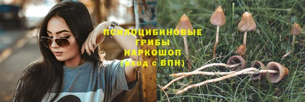 спиды Горняк