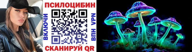Галлюциногенные грибы Cubensis  Гусь-Хрустальный 