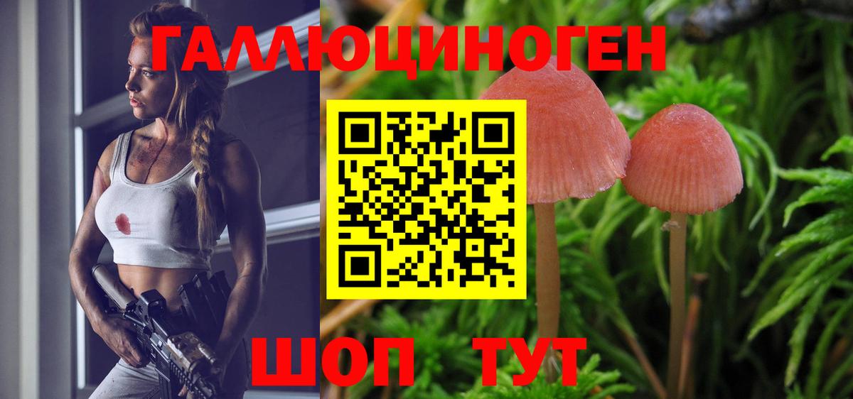 Галлюциногенные грибы мухоморы  Псилоцибиновые грибы Psilocybe  Вход с VPN  где найти наркотики  Гусь-Хрустальный 